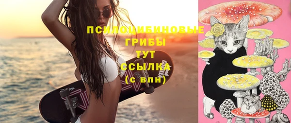 хмурый Волосово