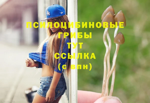 хмурый Волосово