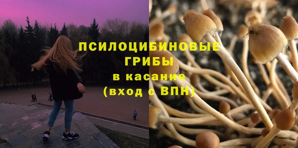 хмурый Волосово