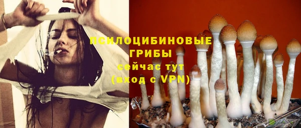 хмурый Волосово