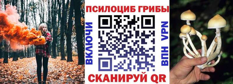 MEGA ссылка  Ачинск  Галлюциногенные грибы мицелий  дарнет шоп 